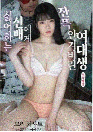 归来 推荐